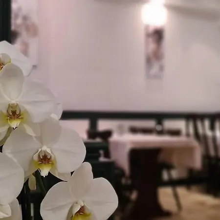Lamm Hotel 2*