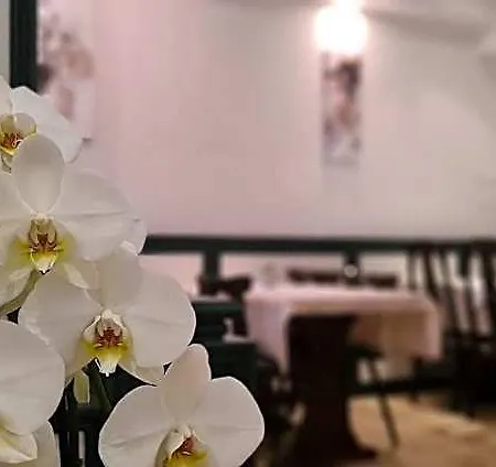 Hotel Lamm